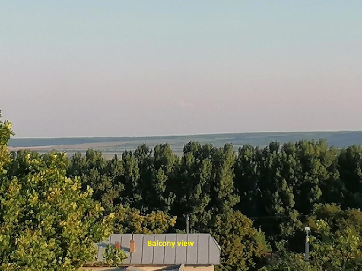Apartament Cu 2 Dormitoare - Madalina Corabia 外观 照片