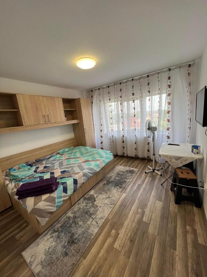 Apartament Cu 2 Dormitoare - Madalina Corabia 外观 照片
